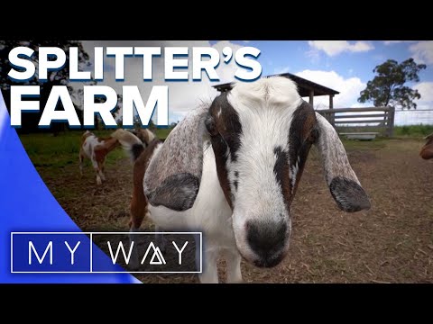 Queensland farm becomes sanctuary for animals in need | My Way Australia