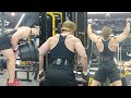 Back (T-bar row & barbell row & pull up)