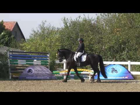 Fokdag | DFZ Dinkelsbühl | 31 augustus 2024