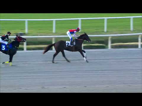 230618 c10 JEITO CAMPEAO (BRZ)