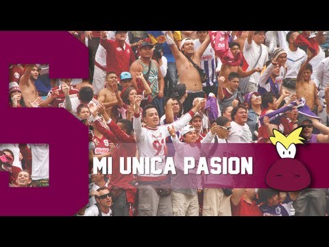 "Ultra Morada - Mi unica pasion" Barra: Ultra Morada &bull; Club: Saprissa
