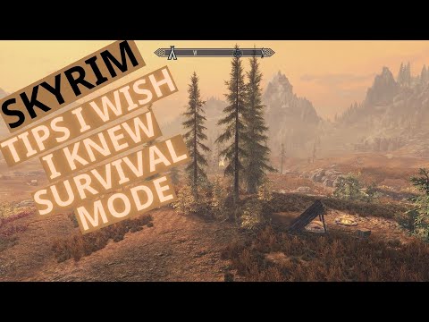 Skyrim Anniversary Edition: 20 Tips I Wish I Knew - Survival Mode Edition!