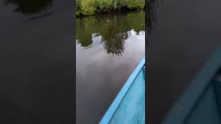 preview picture of video 'Fishing mania Muara sungai guntung'