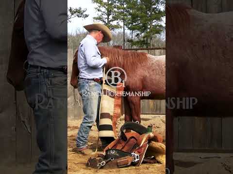 Here's a good way to sack one out.   #b1horsemanship #b1 #es20 #horse