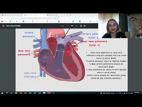 Admitere Fundeni: Mica si marea circulatie