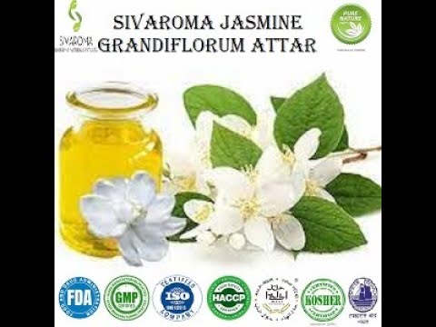 Jasmine Grandiflorum Attar
