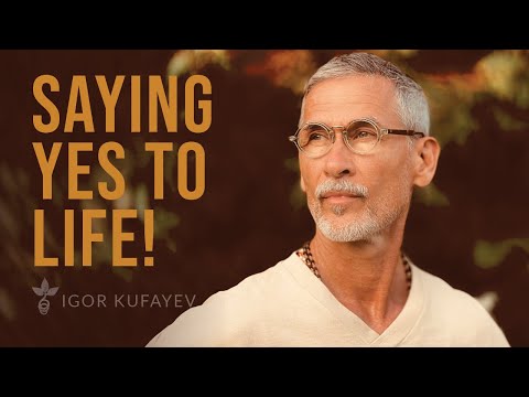 Healing Beyond the Paradigm: Trauma, Embodiment, and the Will to Live