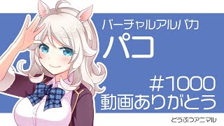 【ありがとう】祝！動画1000本✨こんにちはパコです！【歩栖パコ/Vtuber】雑談