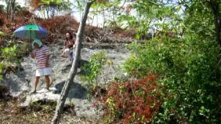 preview picture of video 'view of daan lungsod hill,tuburan,cebu,philippines'