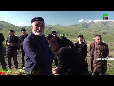 На горе Хиндой прошла выставка «Ноев Ковчег»