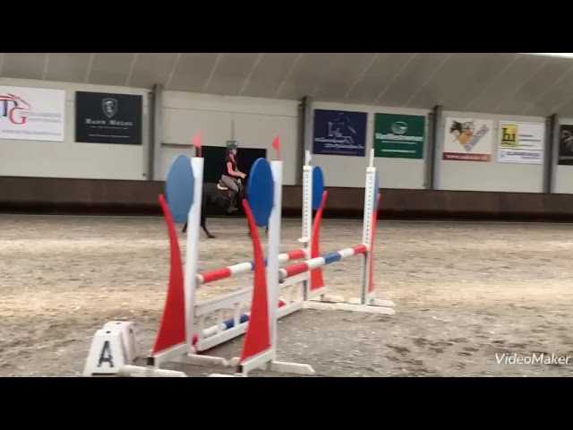 Elesy Leandra @ home ridden / training