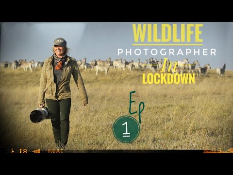 Wildlife Photographer in Lockdown epiode 1