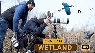 Chatlam: Pampore's largest wetland