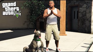 Franklin REPLACES CHOP WITH NEW PITBULL DOG in GTA 5!