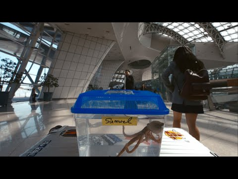 Samuel goes to Conan