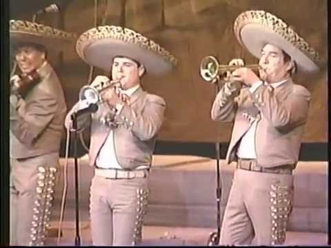 MARIACHI NUEVO TECALITLAN - Popurri de Mi Tierra (1995)