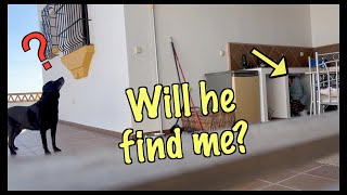 Hiding from our Dog... will he find me?