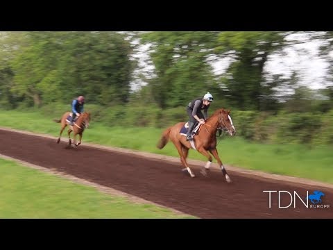 Twomey Double Handed for Guineas Weekend