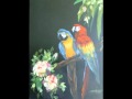 Peter Gabriel Animal Nation