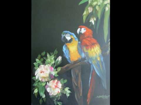 download lagu mp3 mp4 Peter Gabriel Animal Nation, download lagu Peter Gabriel Animal Nation gratis, unduh video klip Peter Gabriel Animal Nation