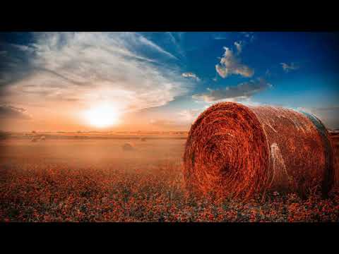 Melodic Progressive House mix Vol 55 (Fields Of Dreams)