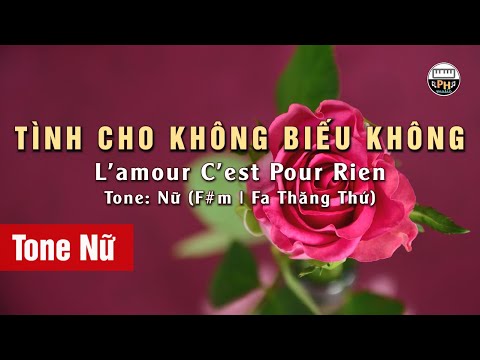 Tình Cho Không Biếu Không (L'amour C'est Pour Rien) | Karaoke | Tone Nữ | Beat Chuẩn