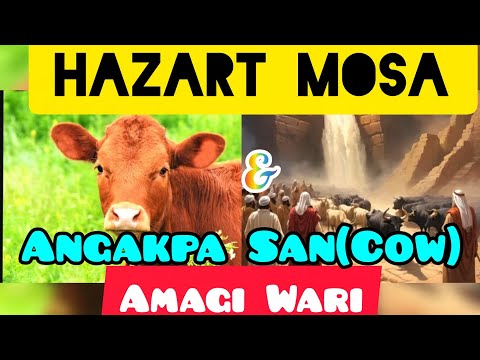 Bani Israel Qaomda Mihaatpa Amagi Bichar Hazarat Mosa na Tauba & Cow Amagi Wari..