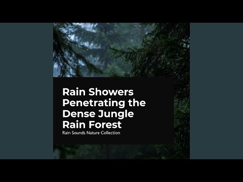 Forest Animals in Harmony