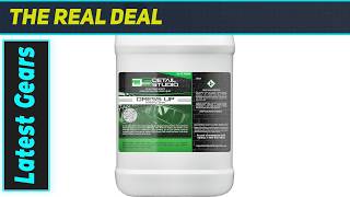 `Detail Studio Dress Up: Amazing Interior Shine & Clean!