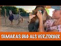 Wat moet er allemaal dagelijks gebeuren? | DierenpraatTV