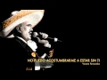 Vicente Fernandez - No Puedo Acostumbrarme A Estar Sin Ti