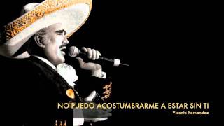 Vicente Fernandez - No Puedo Acostumbrarme A Estar Sin Ti