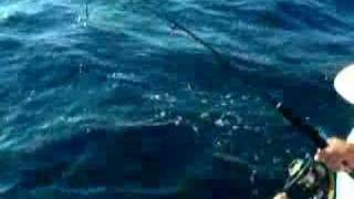 PESCA PARGO CANTAMARES