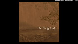 The Prize Fight - Another Day, Another Struggle (2006)