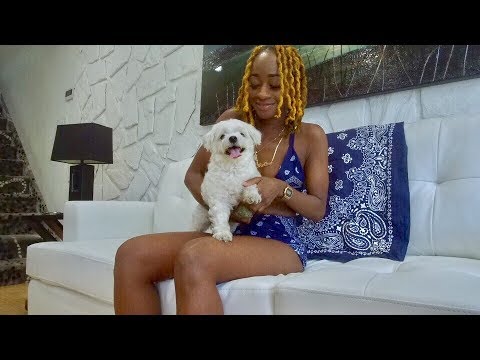 OG MarlynMonROLLUP - BLUES CLUES  (Official Music Video)