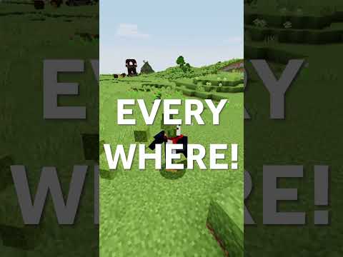 Making The Minecraft PLAINS BIOME Better!