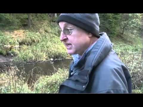 Jerwood Open Forest 2014 - Chris Watson and Iain Pate