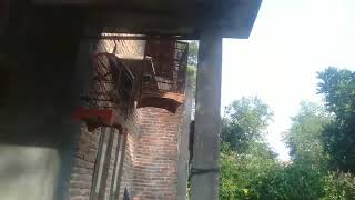 Download lagu YA ROBBI BIL MUSTHOFA COVER BY RISA SOLIHAH mp3