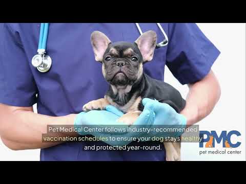 Reliable Dog Vaccinations in Stanhope IA | Pet Medical Center