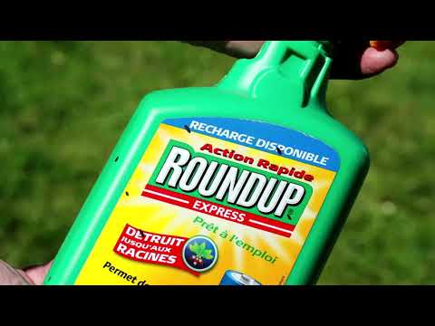 バイエルが100億ドルの償却を受け、ラウンドアップ和解金の請求額が増加していることを示す (Bayer takes $10 billion writedown, flags higher Roundup settlement bill)