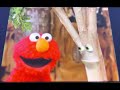 Sesame Street Elmo S World The Street We Live On Song