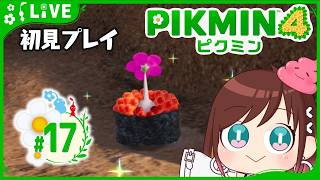 オリマー家にイクラ軍艦突入【ピクミン4初見プレイ】 #おはようvtuber  #17