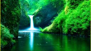 J'ai pleuré sur ma guitare ! .wmv