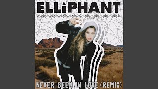 Never Been In Love (Theodor Remix)
