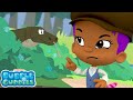 Help Find The Missing Lizard With Zooli Bubble Guppies