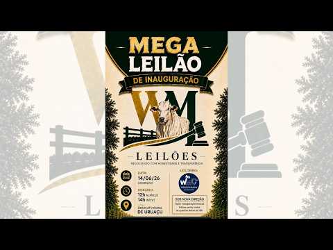 MEGA LEILÃO DE INAUGURAÇÃO - WM LEILÕES - URUAÇU - GO - 14/06/2026