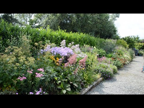 download lagu mp3 mp4 Gibsons Scarlet Potentilla, download lagu Gibsons Scarlet Potentilla gratis, unduh video klip Gibsons Scarlet Potentilla