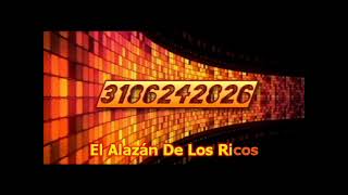 El Alazán Y El Rosillo Vicente Fernández karaoke