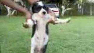 T.O.K- Couple up (National pride riddim)