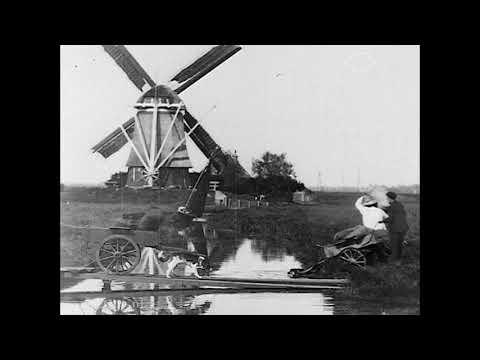 Hondenkarren / De onwillige trekhond